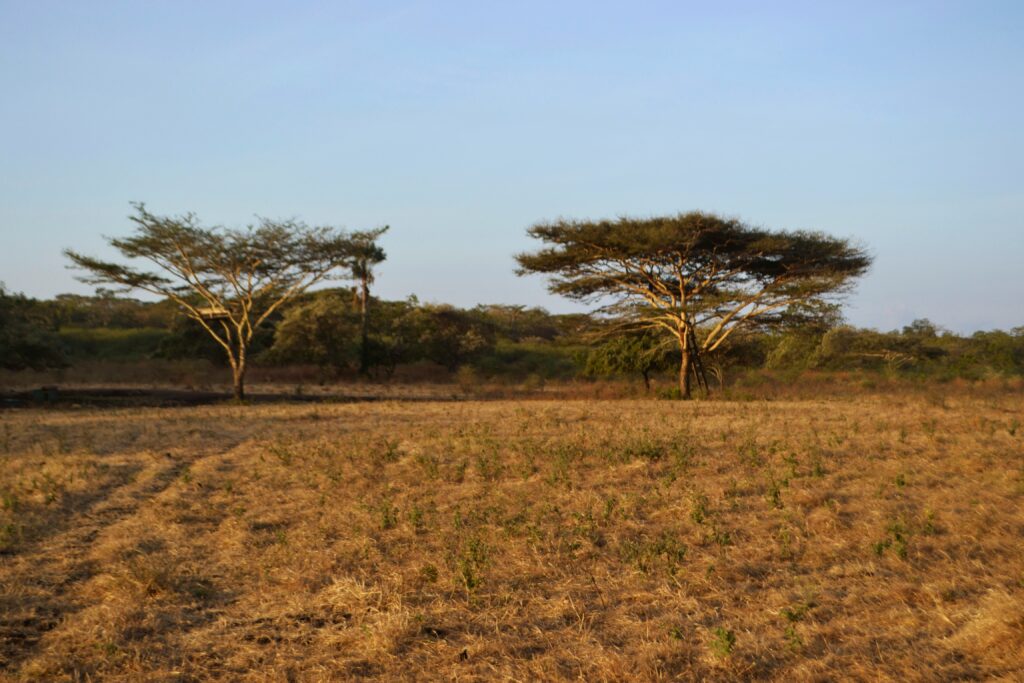 Hello World Featured Image
